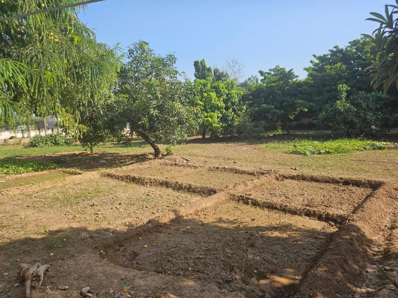 Cheemas Farm Homestay *