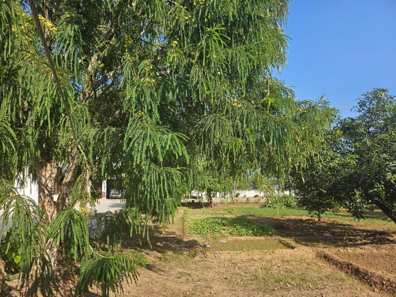 Cheemas Farm * Chandigarh