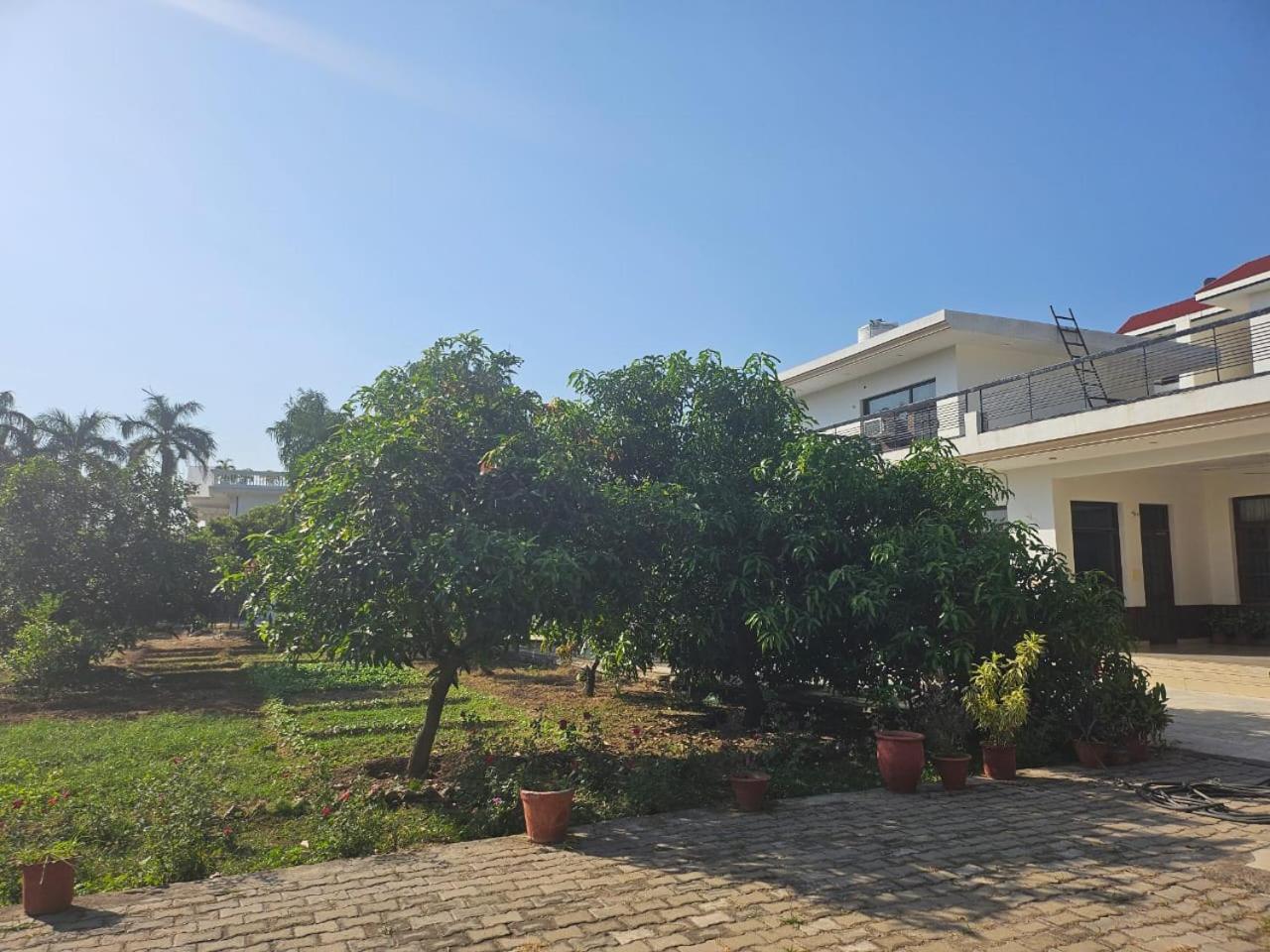 Cheemas Farm Homestay *